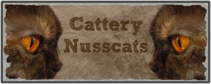 nusscats