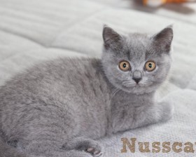 IMG_0364